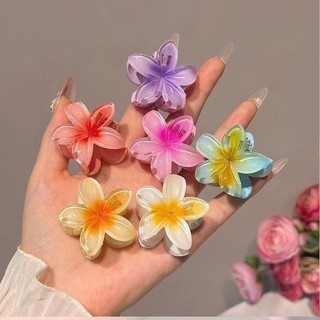 Kits 12/24/36/48 Peças do 4/8cm Grampos/Piranhas Cabelo Flor de Feriado de Praia