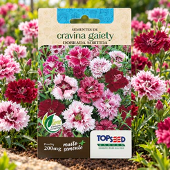 Sementes de Cravina Gaiety Dobrada Sortida