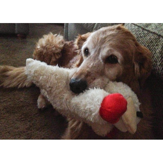 Comércio exterior europeu americano único cordeiro brinquedo para animais de estimação gato cão brinquedo 5 latindo Supe