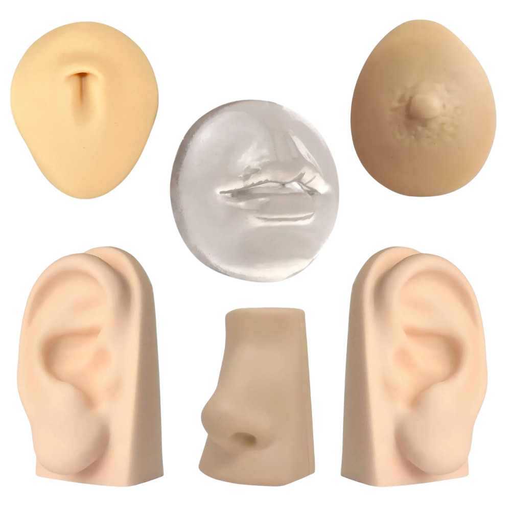 Membros Sinteticos Expositores De Brincos Piercings e Joias