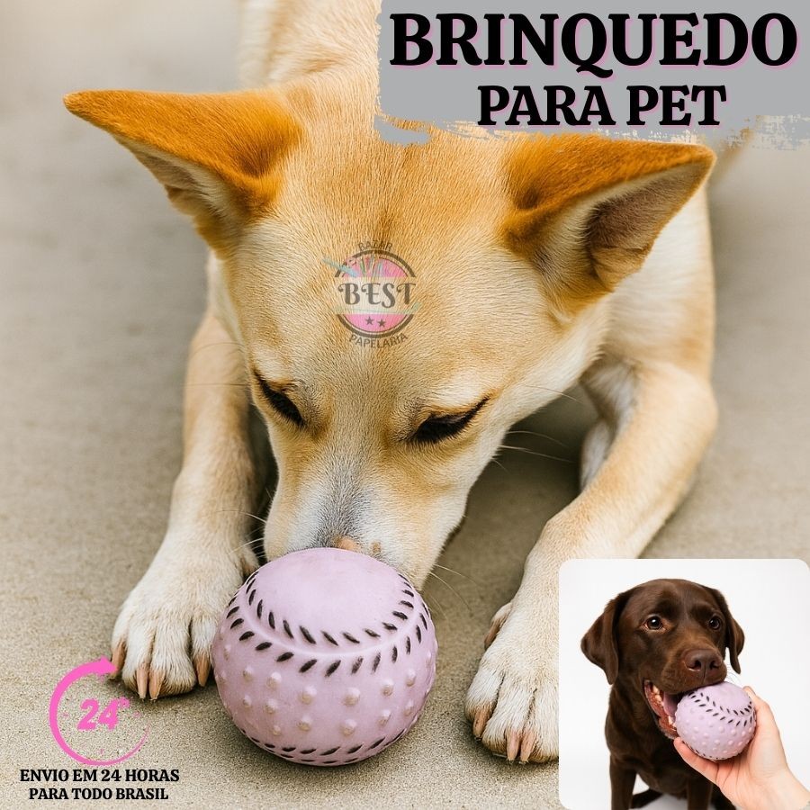 Brinquedo Bola Bolinha Lisa Maciça para Cachorro Cães Pet