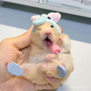 Pequenas e fofas chinelos de hamster de desenho animado para animais de estimação tubarão R3BW em Oferta na Shopee