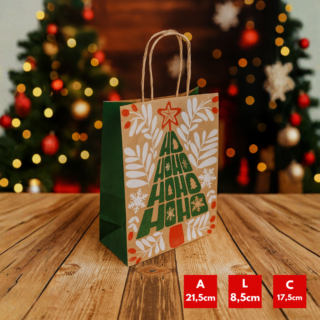 10 SACOLAS NATAL KRAFT HOHOHO 17,5X8,5X21,5CM 2933 (LC) NATAL 2025 (CHOCO)