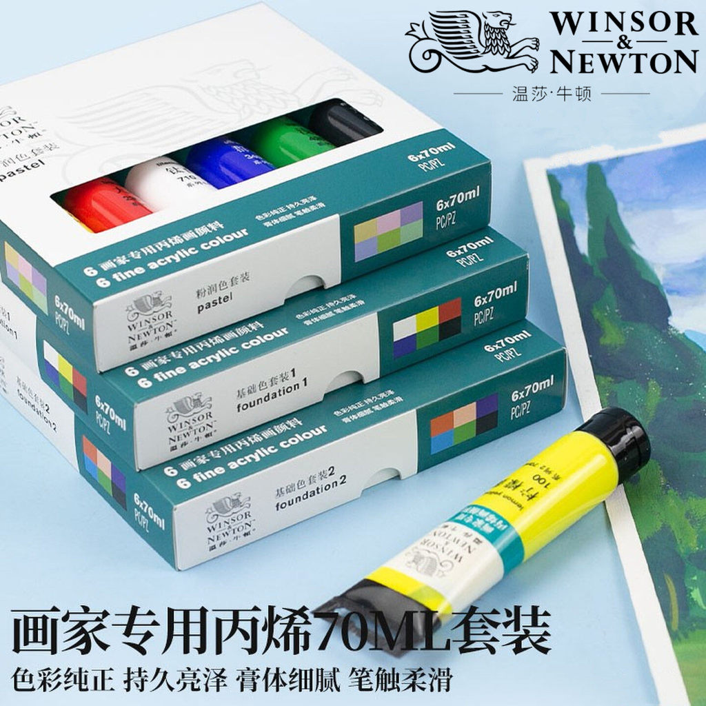 Winsor Newton 70ML conjunto de tinta acrílica Tubular pintor pintura especial acrílico à prova dwaterproof água DIY bone