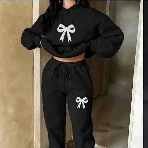 Conjunto Moletom Feminino Flanelado Premium Calça e Blusa De Frio Com Capuz envio imediato