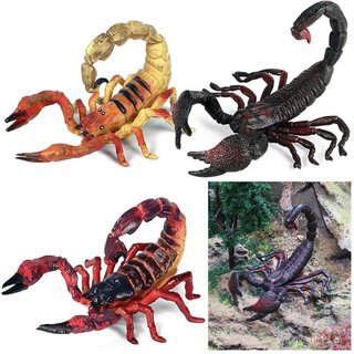MIOSHOP Modelo De Escorpião Cenas Científicas De Adereços Para O Halloween