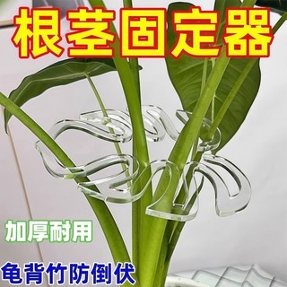 Monstera suporte haste flor suporte quadro ramo tronco Push-up quadro planta Anti-invertida suporte planta verde fixo