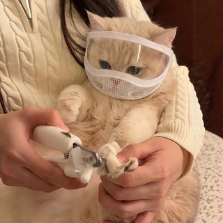 Gato chapelaria esterilização anti-mordida anti-lamber ferramenta útil cortador de unhas banho Pet boca capa gato máscar