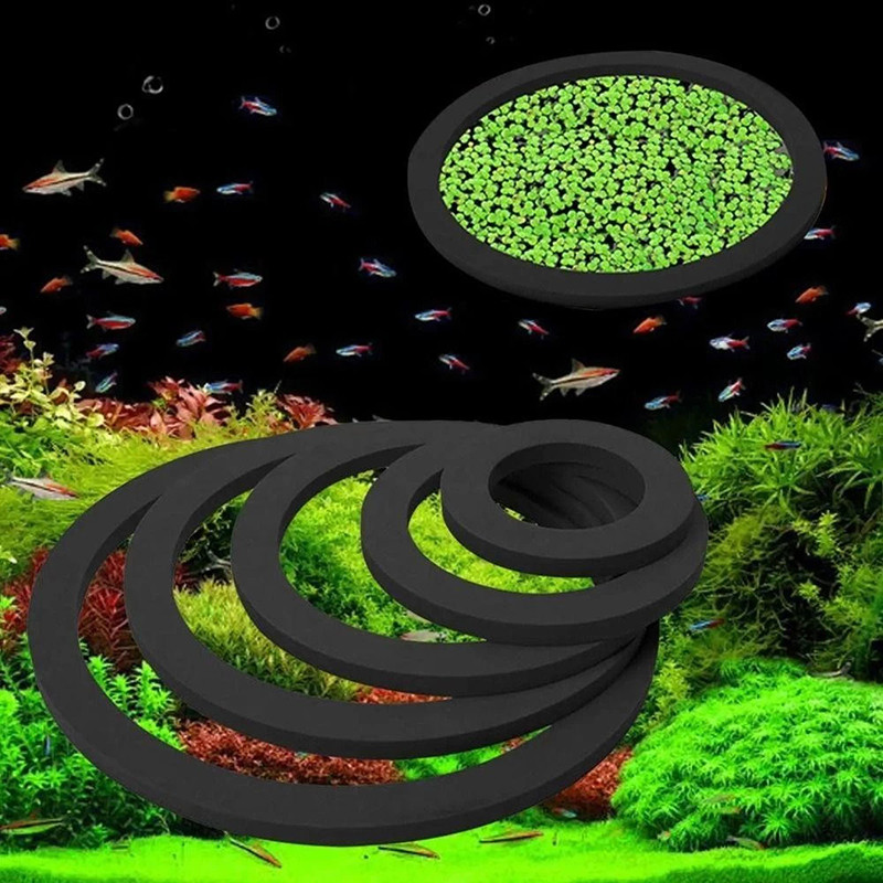Anel De Planta Flutuante Para Aquário , Tanque De Peixes , Conjunto De 5 Anéis De Alimentação De Curral De Plantas Aquát