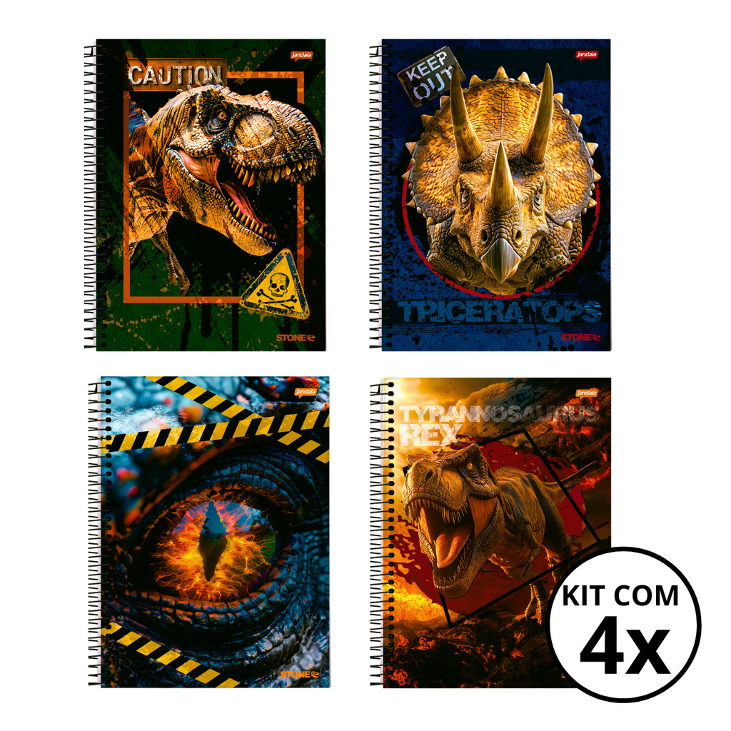 Kit Com 04 Cadernos 01 Matéria Universitário 80 Folhas Stone - Jandaia