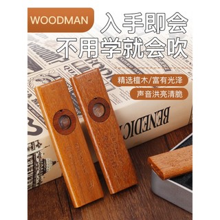 Kazoo Instrumentos Musicais Portátil Pequeno Estranho Nicho Unpopular Instrumentos Musicais Simples Fácil de Aprender Pr