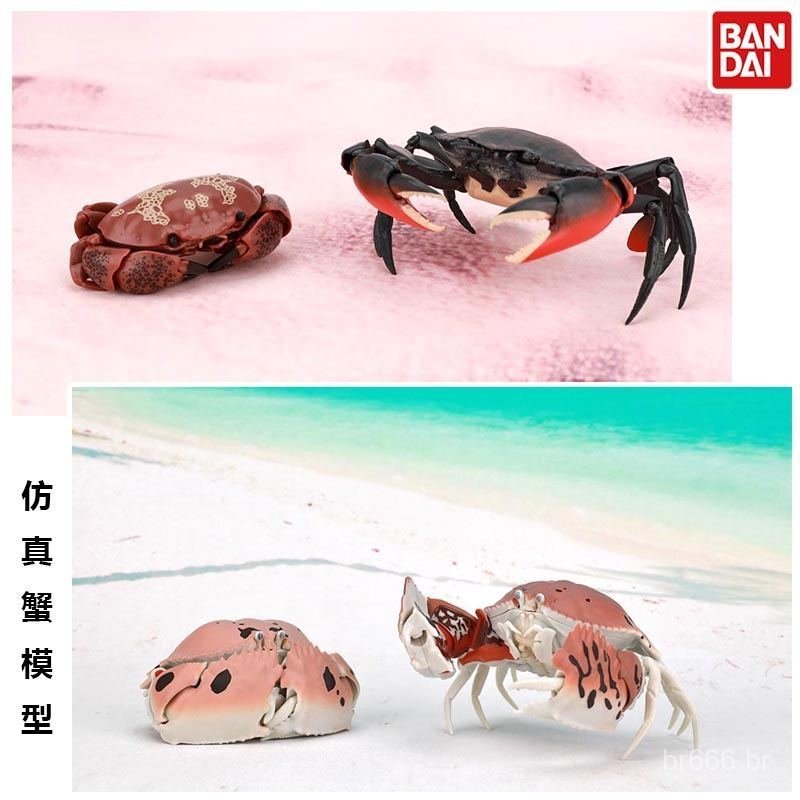 Em estoque: Bandai, modelo de decoração de grande porte de um grande guia de biologia, articulado, caranguejo, caranguej