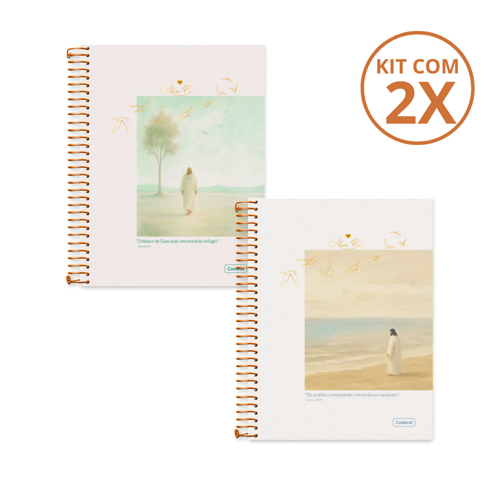 Kit 2 Cadernos Colegial 15 Matérias Aba Pai 240 Folhas - CADERSIL