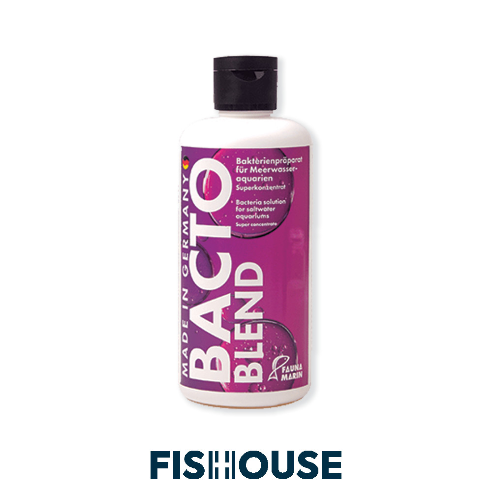 Acelerador biológico - Bacto Blend (250ml) - Fauna Marin