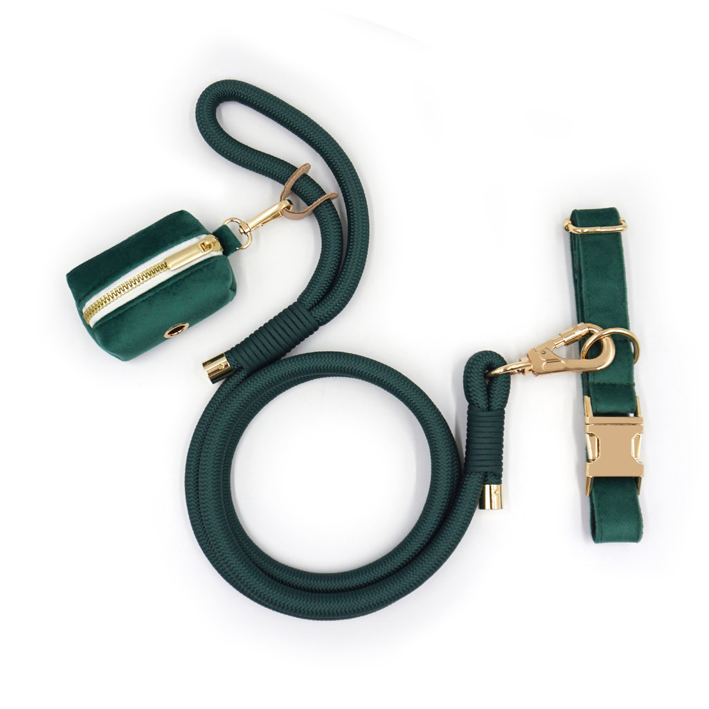 Coleira, guia redonda, cão, animal de estimação, bolsa para animais de estimação, guia, coleira para cão.