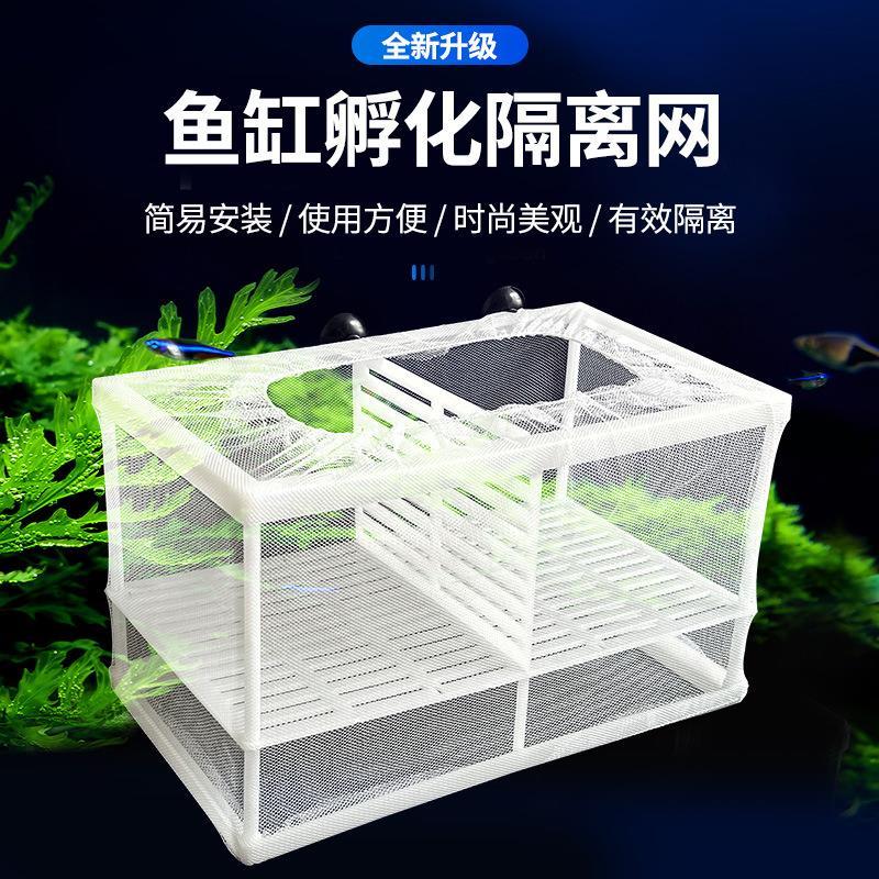 Rede de isolamento para tanque de peixes, caixa de isolamento para aquário, Guppy, Larva, caixa de incubação, proteção s