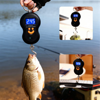 Balança Mala Digital Portátil Suspensa Mão Gancho 50 Kg / 12kg peixeira em Oferta na Shopee