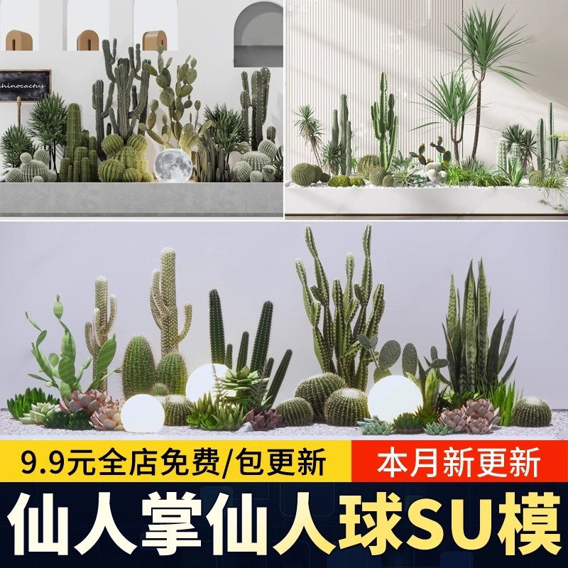 Cactus Tropical deserto suculentas paisagismo Aloe Vera cauda orquídea dragão sangue árvore pátio paisagem esboço su mod