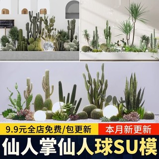 Cactus Tropical deserto suculentas paisagismo Aloe Vera cauda orquídea dragão sangue árvore pátio paisagem esboço su mod