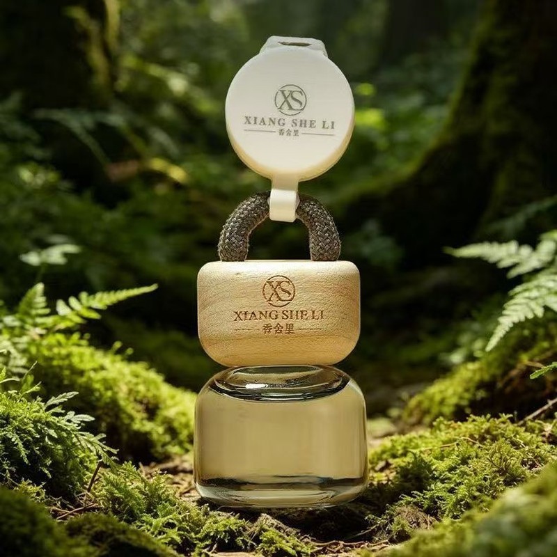 Xiangshei carro Perfume pingente de carro aromaterapia conjunto de óleo essencial caixa acessórios interiores do carro p