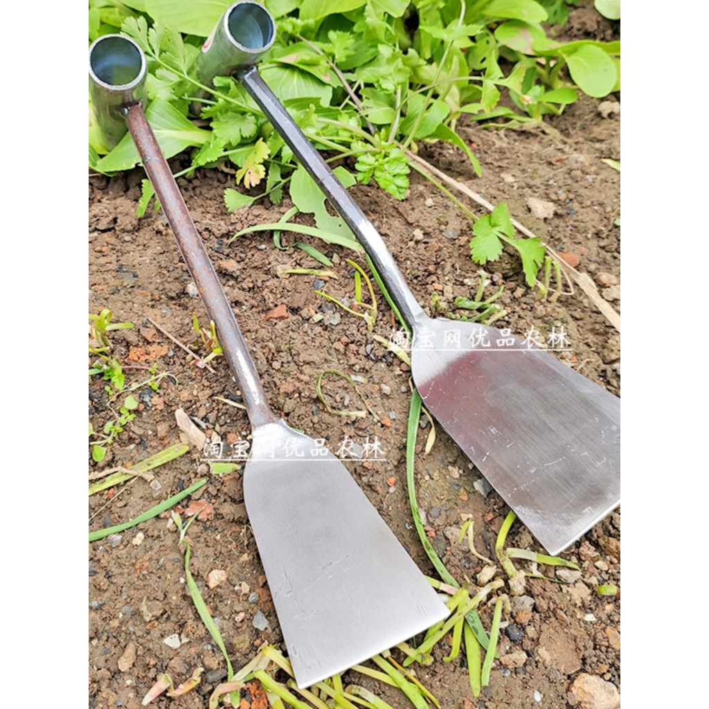 Escavação de pá de dente de leão, escavação de vegetais selvagens, capina, pá pequena especial, pá de flores, aço mangan