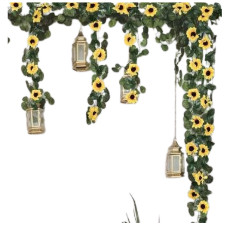 Corrente de Girassol 1,80m