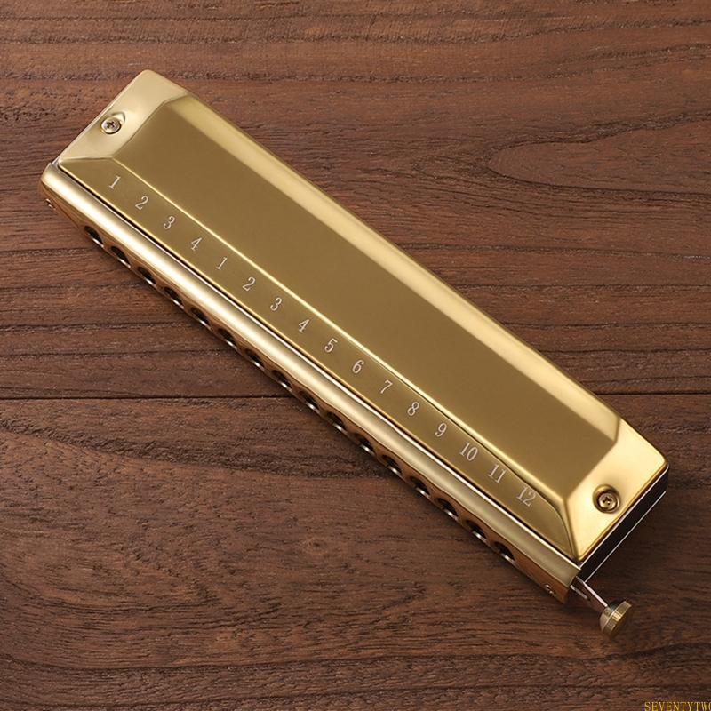 Harmônica Para Chave C 12 Furos 48 Capa Jogador Profissional Beg