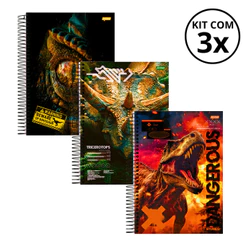 Kit Com 03 Cadernos 01 Matéria Universitário 80 Folhas Stone -Jandaia