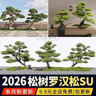 Jardim Arhat pinho su modelo pátio planta chinesa modelagem bem-vindo convidado pinheiro modelagem árvore pinheiro 3d es
