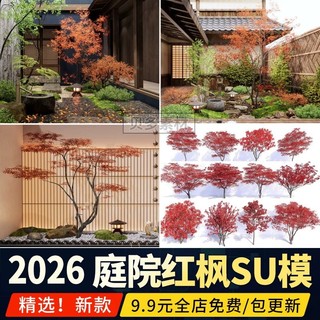Bordo vermelho estilo japonês pátio paisagem planta forma pena de bordo bordo japonês bordo frango garra esboço mestre S