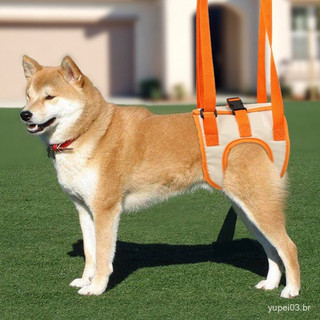 Cinto Ajustável Para Pernas De Animais De Estimação Com Fivela Fixa Dupla , Arnês Cães De Engenharia Portátil IYQP