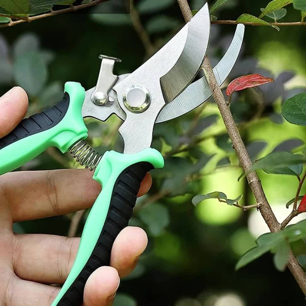 Tesoura de Poda Tesoura Super Afiada para Jardinagem Original