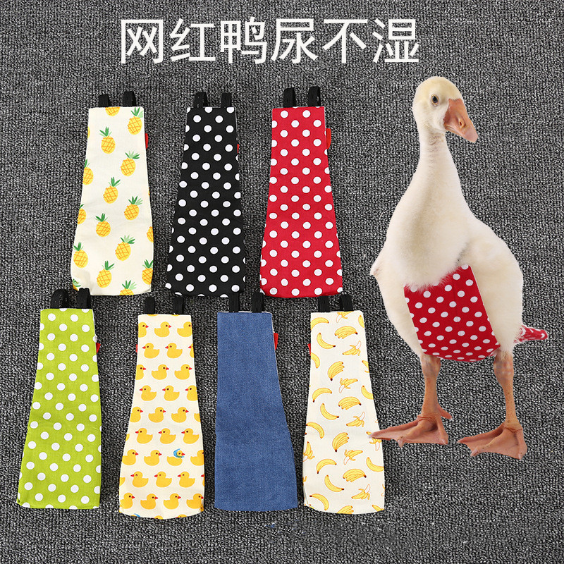 Cole pato roupas patinho fraldas fraldas fraldas fraldas frango algodão lavável influenciador pato fraldas