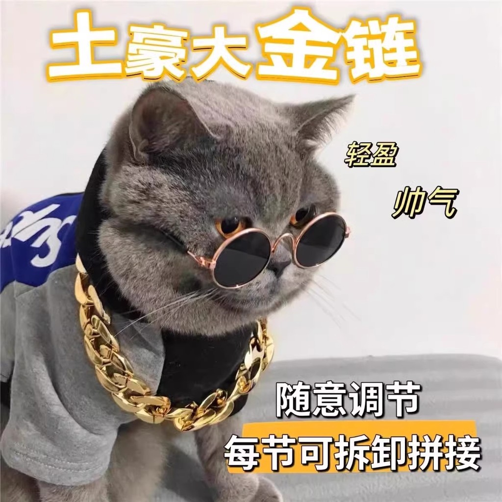 Gato de estimação grande corrente de ouro coleira de cachorro jóias francês luta foto ouro prata colar Pug Teddy dog Bul