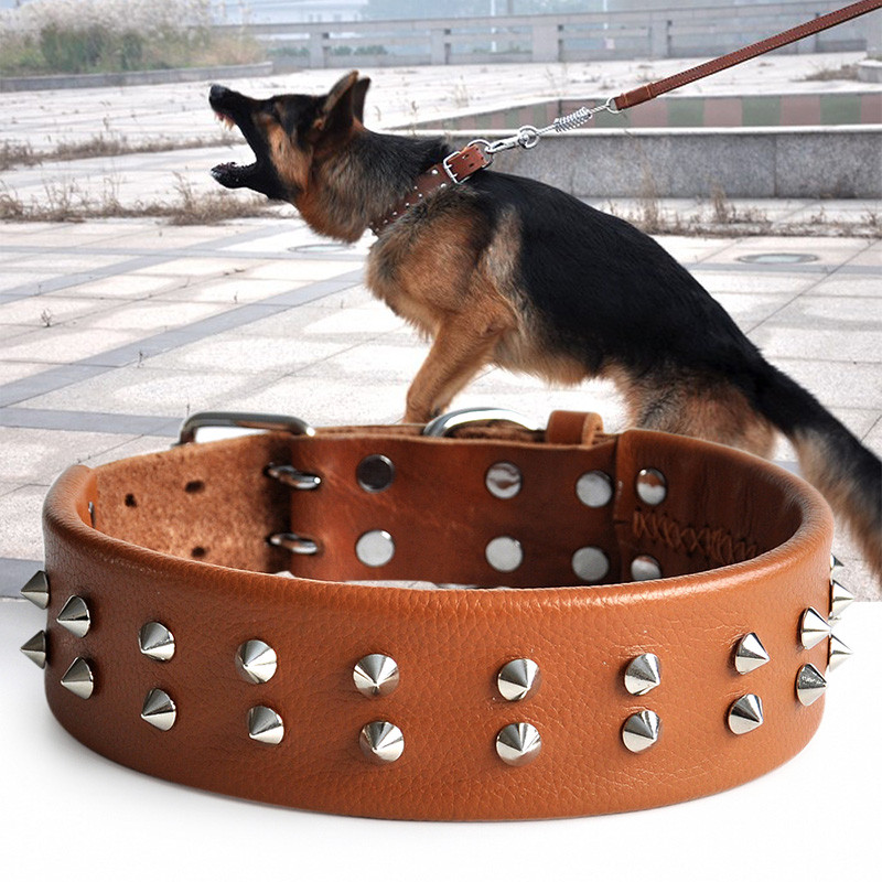 Coleira grande de couro para cães, coleira para animais de estimação, suprimentos para animais de estimação, Golden Retr
