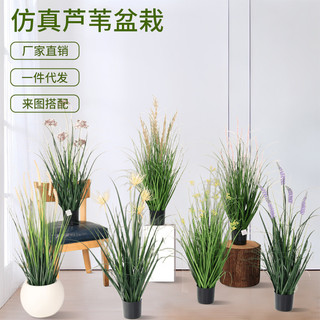 Nordic cebola grama esmagado cauda de gato falso planta verde vaso planta interior sala estar piso decoração ornamentos