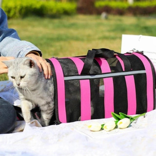 Bolsa Mala Transporte Pet Cachorro Gato Viagem Avião Material Respiravel Imperio