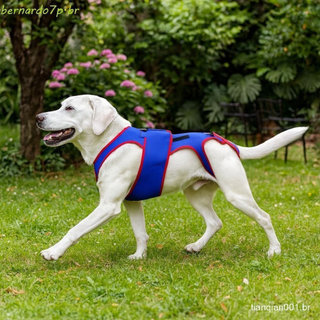 Cinta Traseira Para Cães BNARDO , Roupas Calmantes Respiráveis Ajustáveis , Arnês De Suporte Animais De Estimação Confor