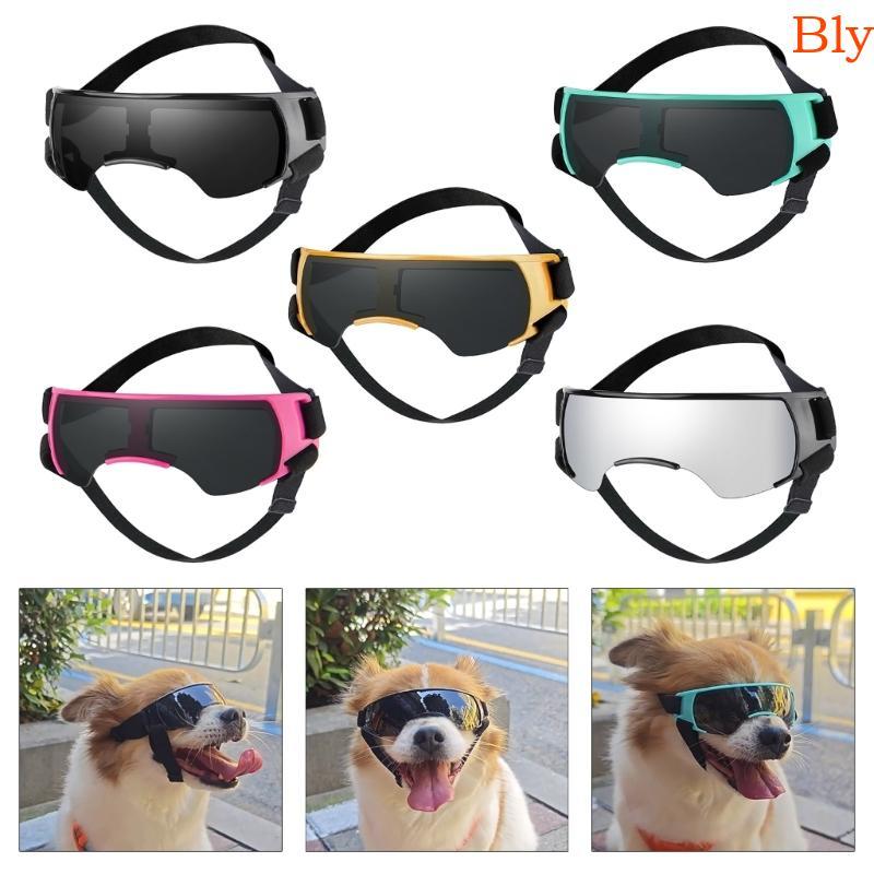 Óculos Sol Bly Pet Para Caminhadas Esportivas E Brincadeiras Equipamento Proteção Seguro Animais Estimação
