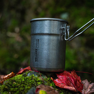 WELLHIKE Retro aço inoxidável único pote ao ar livre BC acampamento panelas solo caminhadas macarrão instantâneo 1L copo