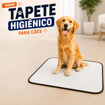 Tapetes higiênicos Kits 5/3/2 lavável para pet dog xixi gato educador reutilizável