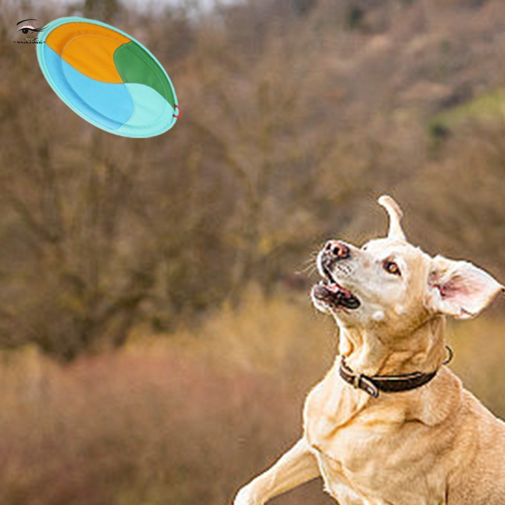 Brinquedo Para Cães De Lona Voadora-Disco Flutuante Interativo Leve E Macio Recompensa De Exercícios