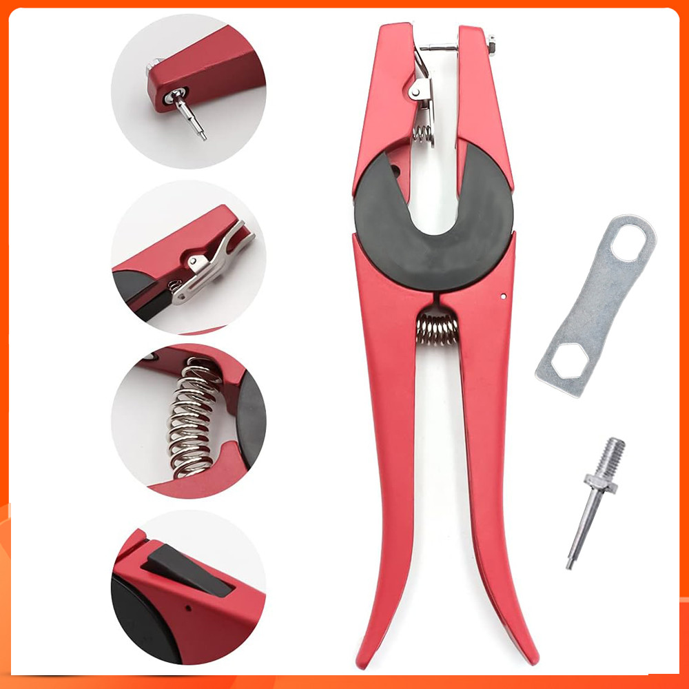 Brinco de Vaca: Guia Completo e Onde Comprar | BuscaProdutos