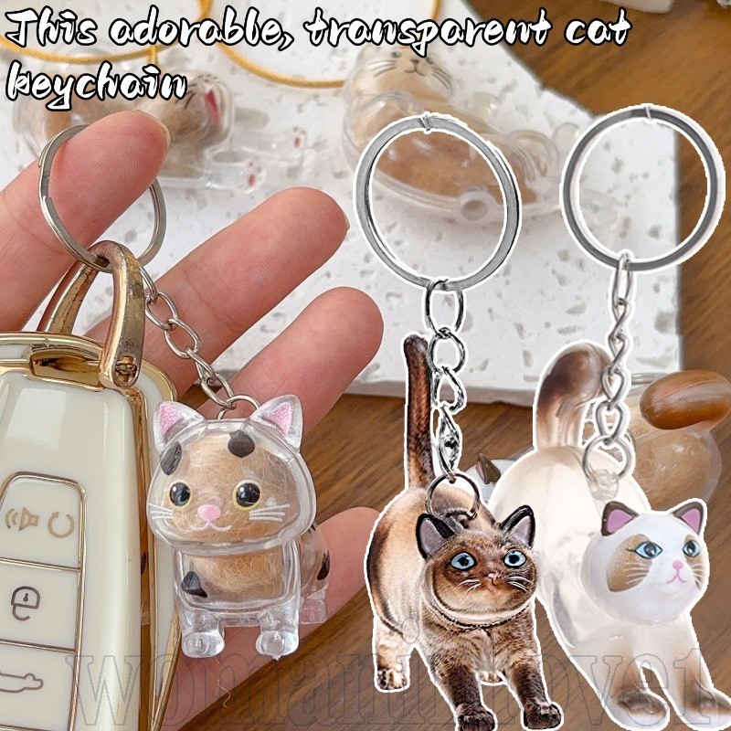 Chaveiro De Caixa De Armazenamento De Pêlos De Gato-Presentes De Lembrança Para Amigos-Desenho Animado , Moda , Criativo em Oferta na Shopee