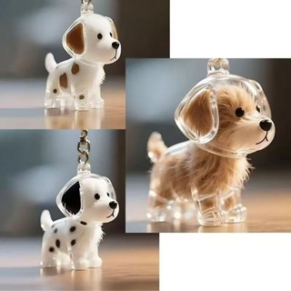 Chaveiro cápsula para guardar pelos de animais de estimação, design delicado como lembrança. em Oferta na Shopee