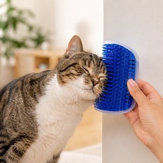 Escova Massageadora Gatos Catnip Estimulante Azul Higiene Conforto Relaxamento