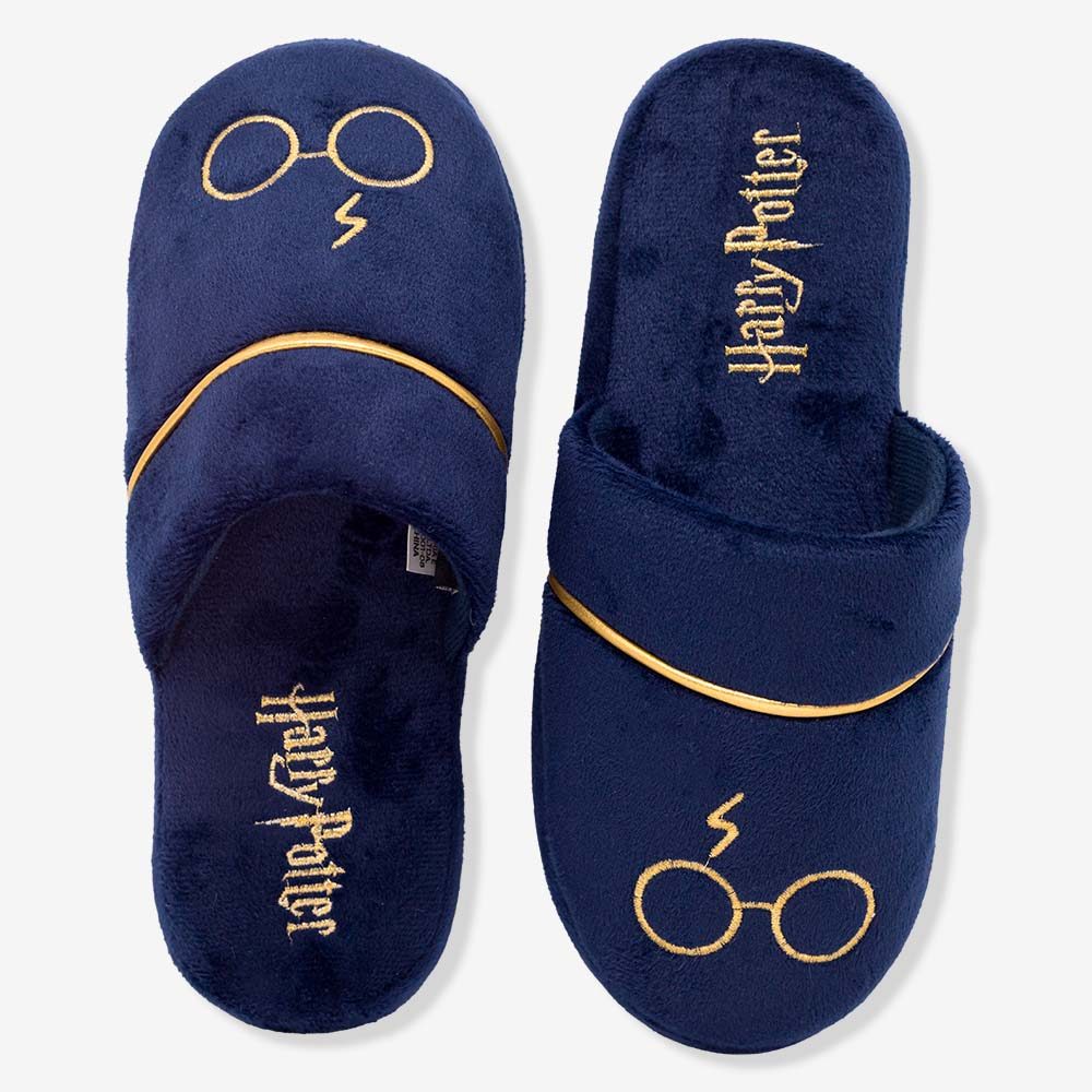 Chinelo Harry Potter