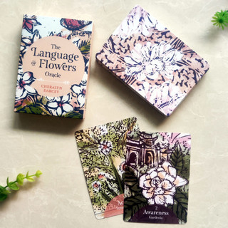 Cartas oráculo da linguagem das flores, 44 cartas, ideal para os amantes de tarot XGSB.