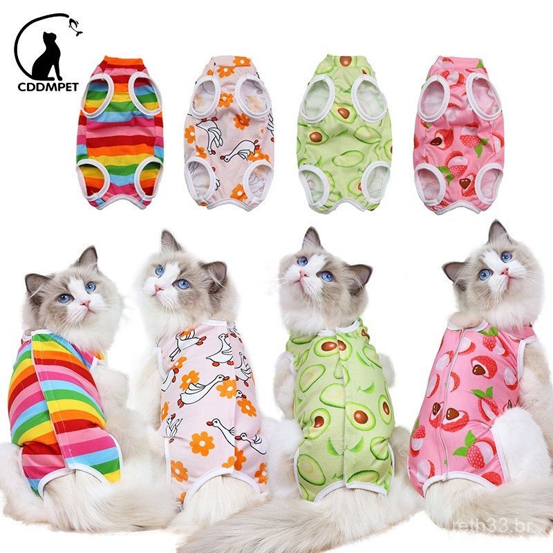 Roupa para gatos após cirurgia, utilizada no cuidado pós-operatório de esterilização; roupa para cuidados com filhotes d