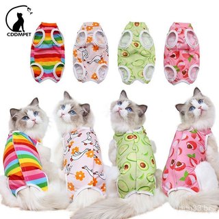 Roupa para gatos após cirurgia, utilizada no cuidado pós-operatório de esterilização; roupa para cuidados com filhotes d